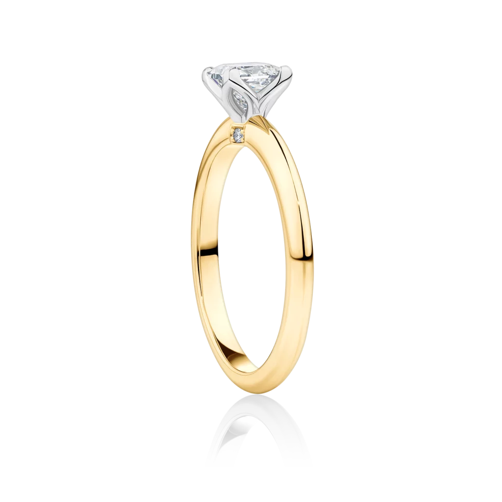 Willow-Princess-Yellow-Gold-Two-Tone-Side-Princess-Diamond-Engagement-Ring